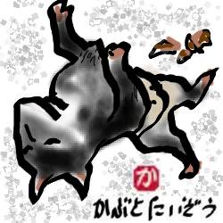 タイの犬:kabutotai.net