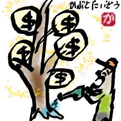 金のなる木:kabutotai.net