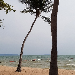 ジョムティエンのイミグレ:kabutotai.net