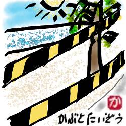 パタヤビーチに進入禁止の縄張り:kabutotai.net