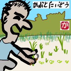 朝飯前に草むしり:kabutotai.net