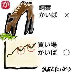 買い場とは:kabutotai.net