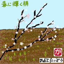 春に輝く梢:kabutotai.net