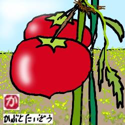 【趣味の園芸】収穫前の真っ赤に熟したトマトが何者かに持っていかれた。犯人は誰だ！