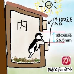 シジュウカラの巣箱:kabutotai.net